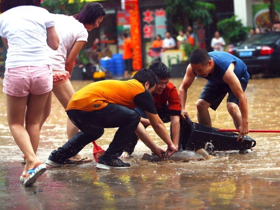 广州暴雨多地水浸街 街坊街头抓到大鱼（图文）
