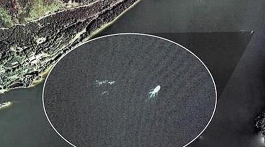 铜山湖水怪真相：铜山湖水怪不是鳄鱼就是水蛇（图）