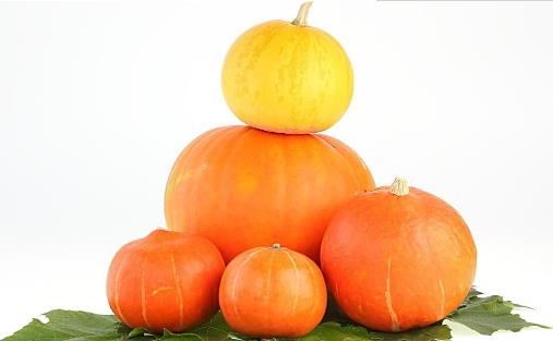 立秋习俗之啃秋：立秋啃秋要多吃这六种瓜（图）