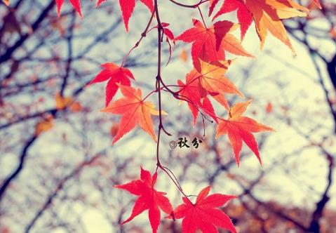 秋分是什么意思：这些有趣的秋分习俗你知道吗