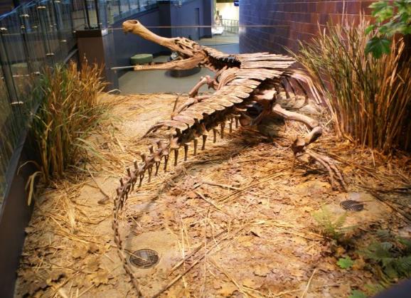 帝鳄的天敌是什么：史前四大最大型鳄鱼排名