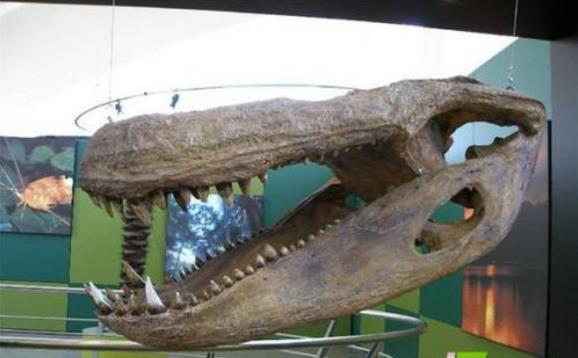 帝鳄的天敌是什么：史前四大最大型鳄鱼排名