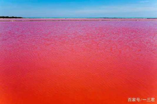 伊拉克血湖之谜：血湖湖水为什么是红色的（图）