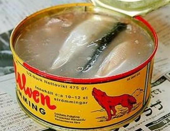 鲱鱼罐头狗吐了的视频：浇到屎上，狗都吐了！