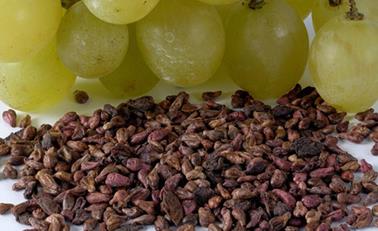 葡萄籽怎么食用？葡萄籽的功效及作用