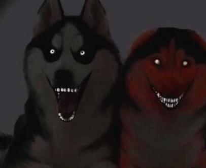 微笑的狗恐怖原图：灵异的微笑狗其实是ps出来的