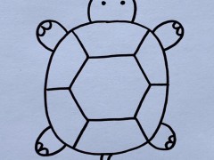 乌龟怎么画简单又可爱