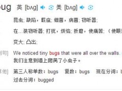 bug是什么意思中文