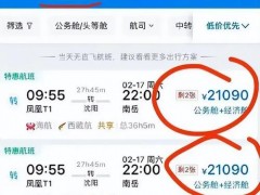 上海到东京机票价格表（上海到东京机票查询）