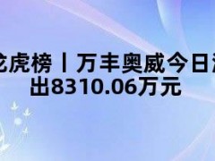 龙虎榜丨万丰奥威今日涨停，知名游资方新侠卖出8310.06万元