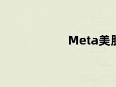 Meta美股盘前跌14%