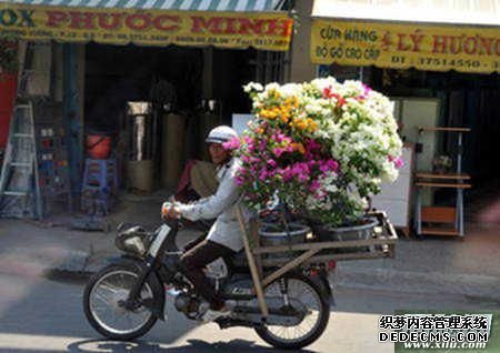 国人最新实拍越南最大城市：越南最有钱的西贡！