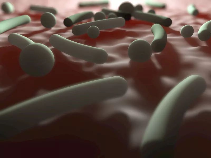 人体肠道细菌能够“发电”，详细情况